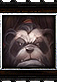 Pandaren RPG

From my current signature.