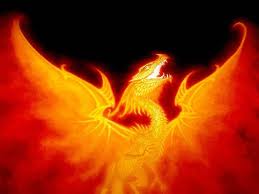 Phoenix Dragon