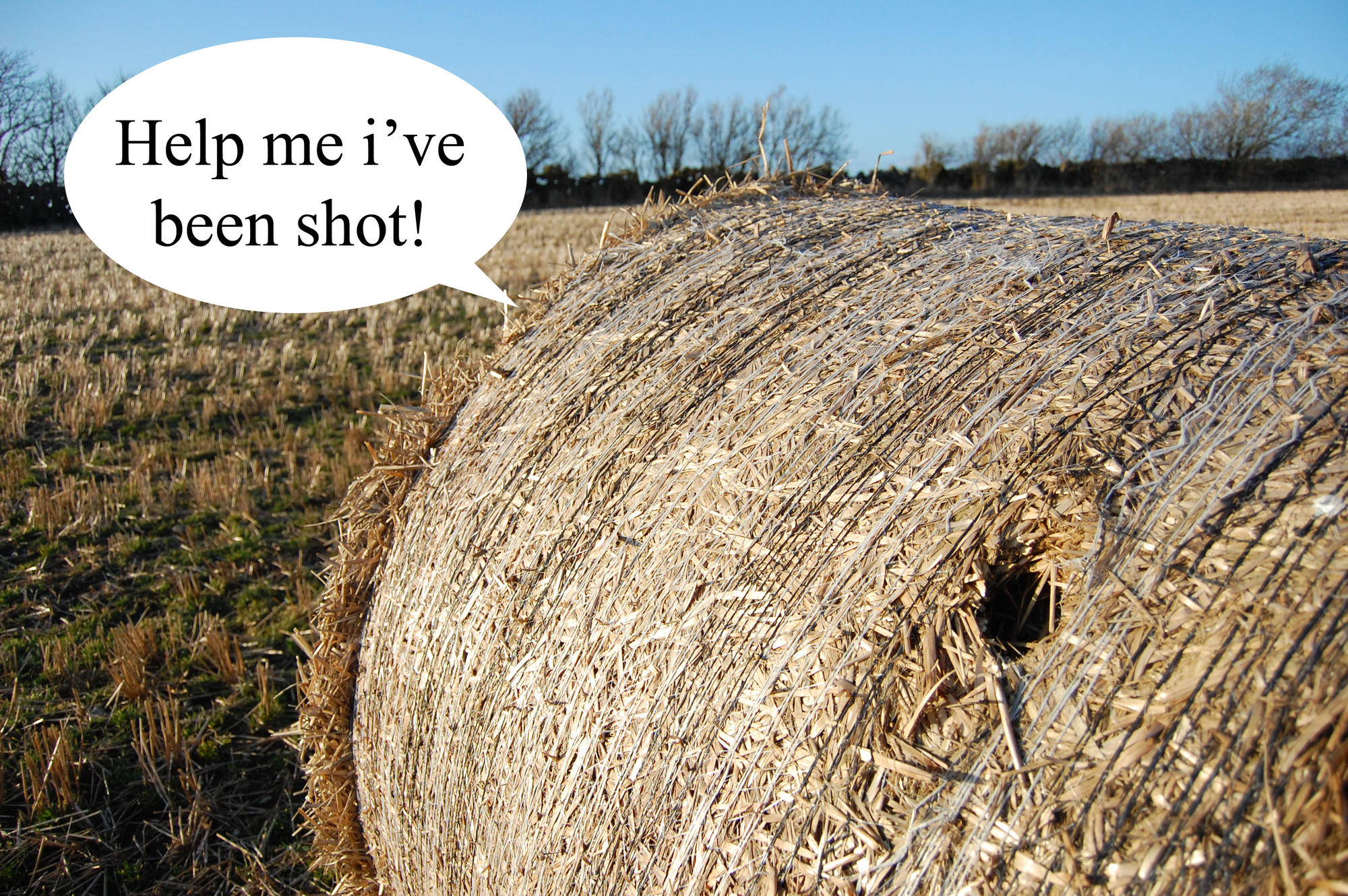 Photography - Silly