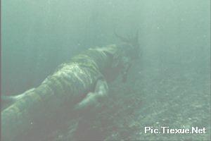 pic02995