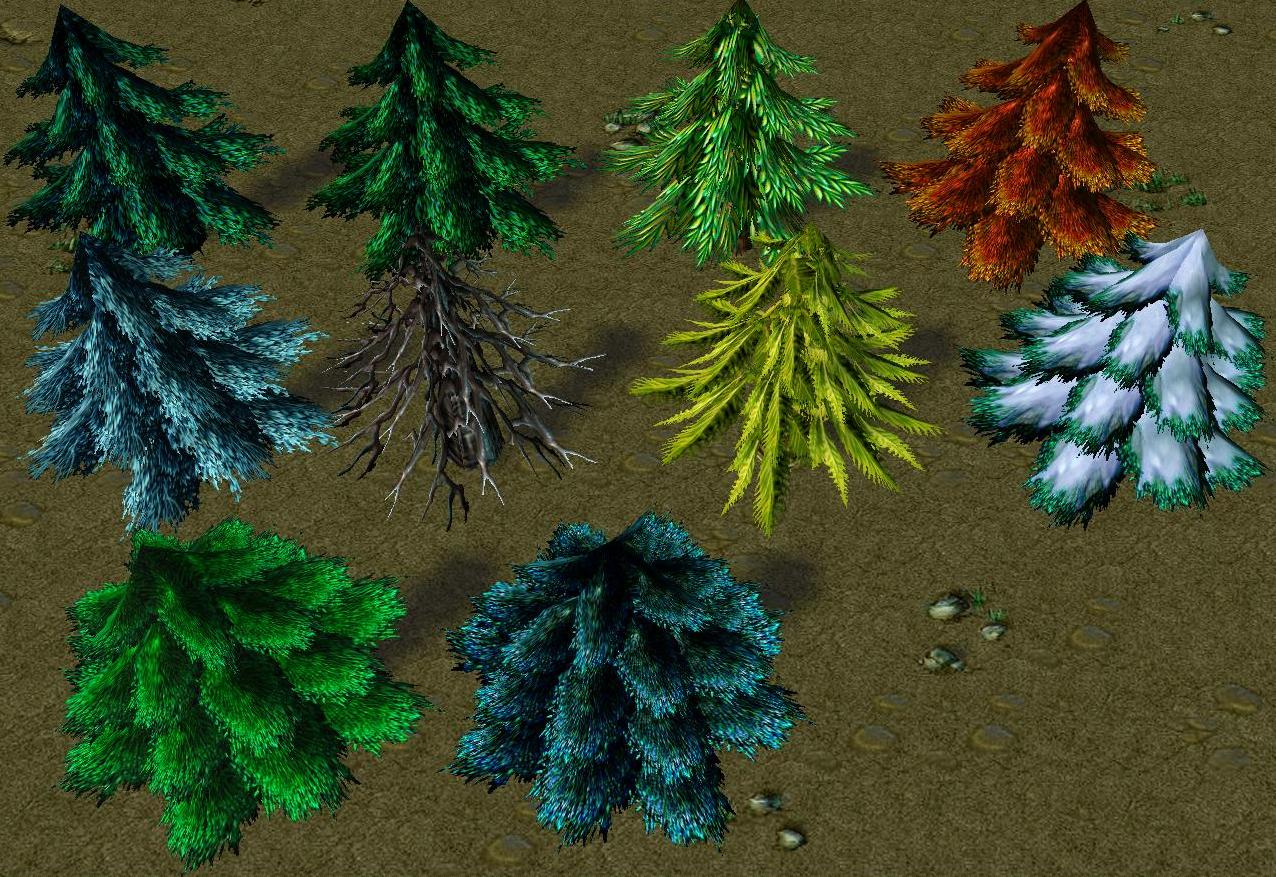 Pine Variations