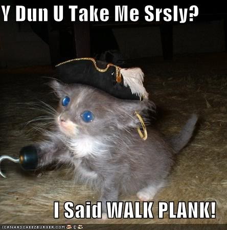 pirate cat