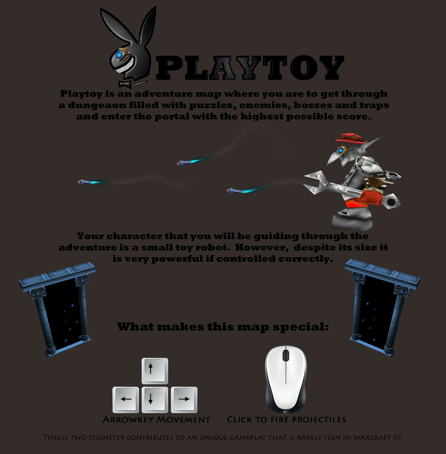Playtoy Description