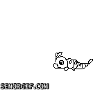 pokmon dont mess with the caterpie