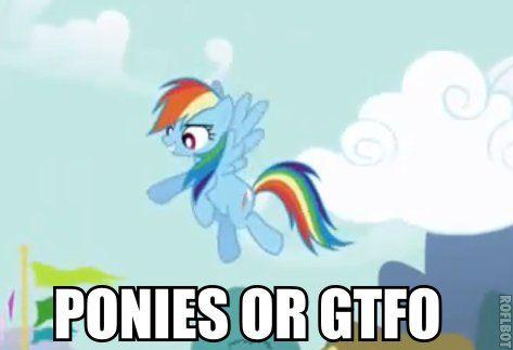 ponies or gtfo
