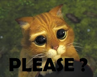 pretty please kitty pic