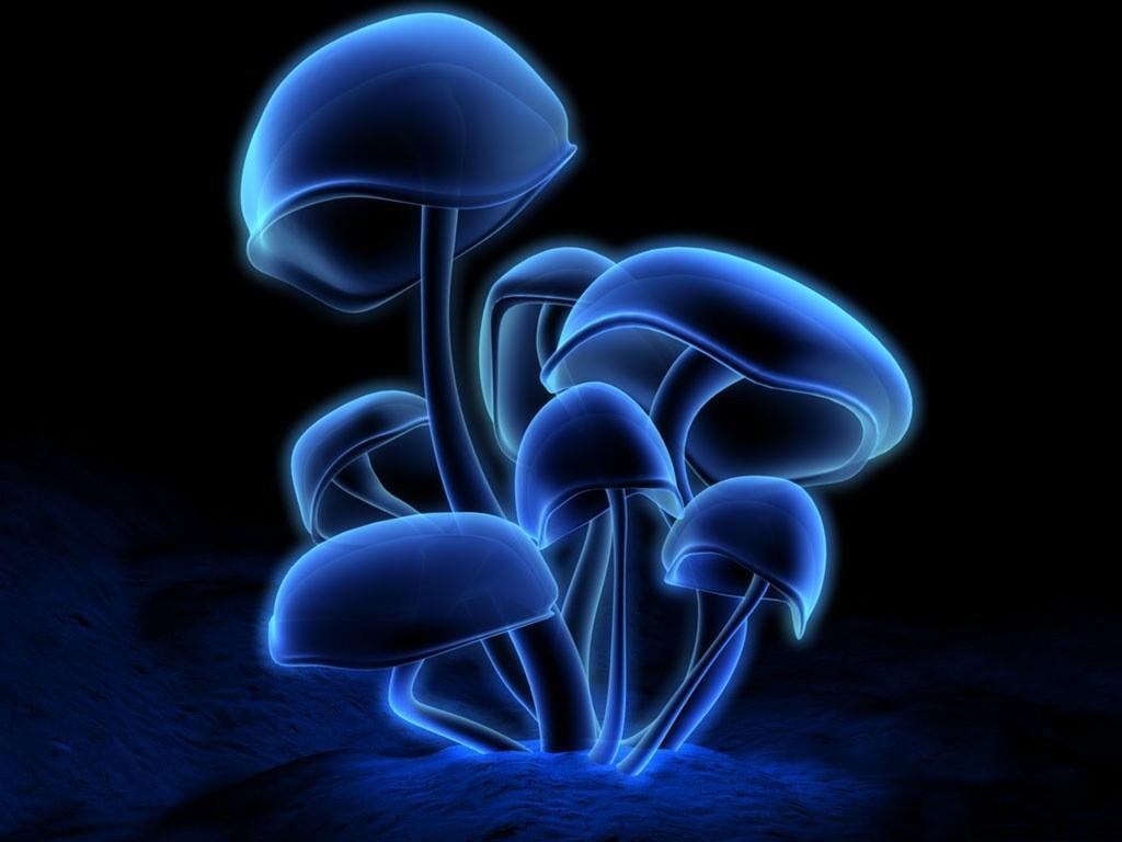 Profile background