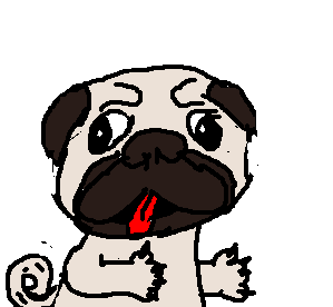 Pug