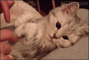 Put your hands up!