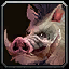 Quilboars