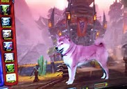 Race, Doge!