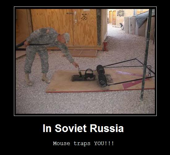 rat traps you
