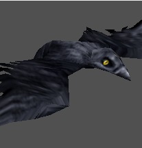 Raven
