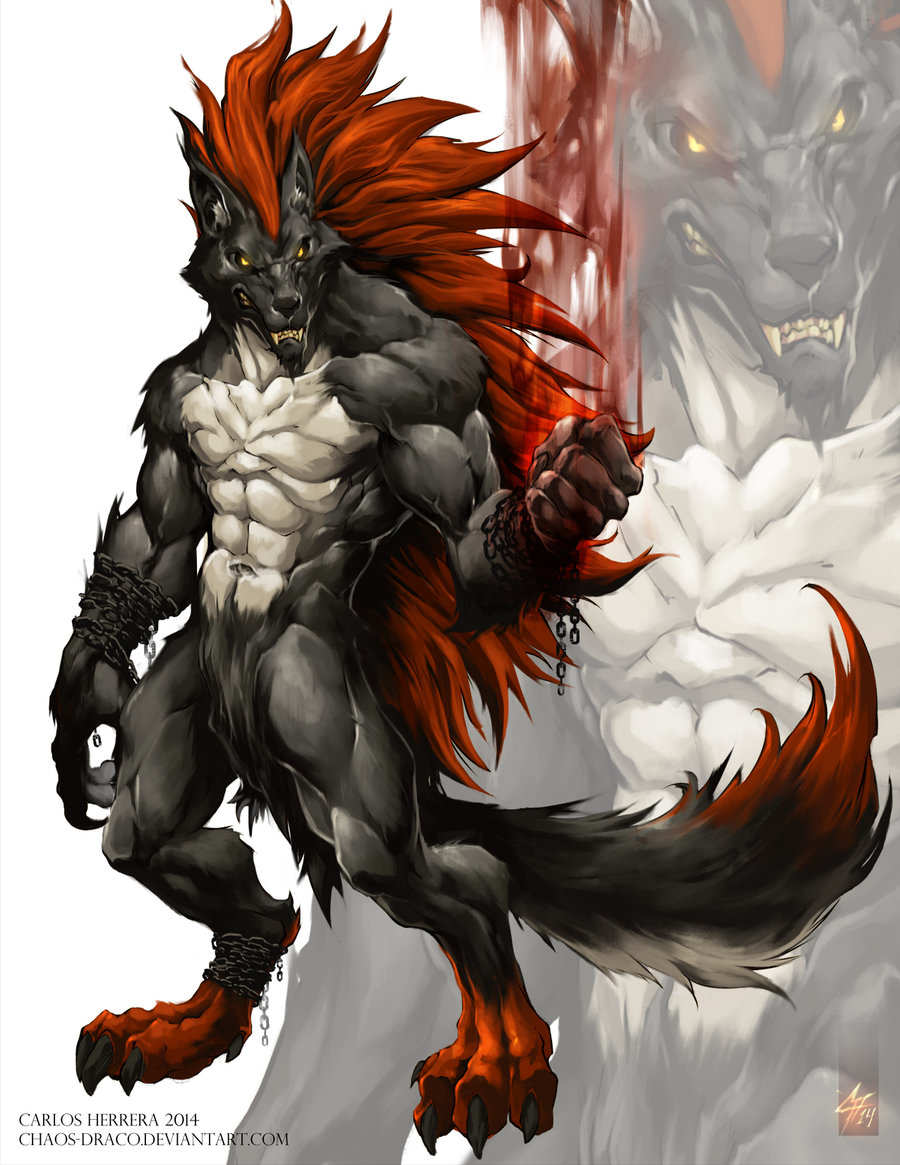 red werewolf 2 comission work by chaos draco d7asxht