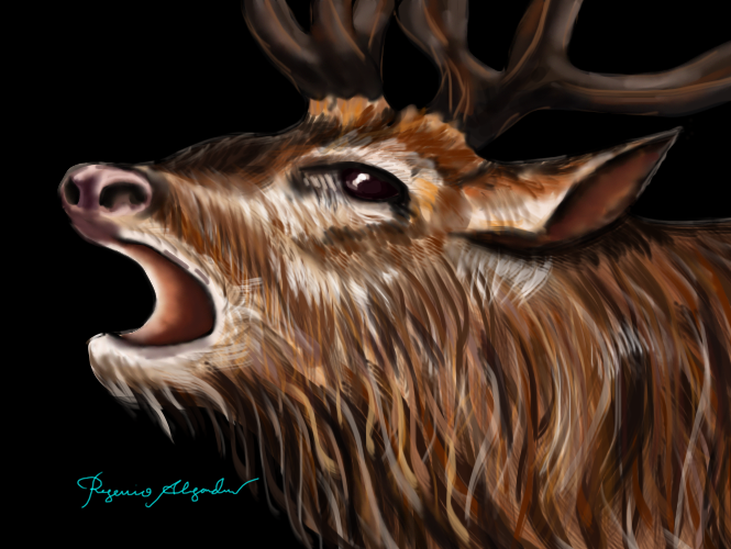 ReindeerPainting