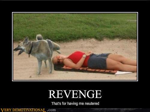 revenge