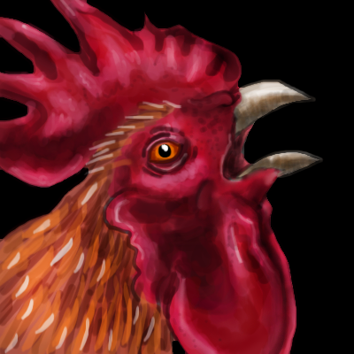 Rooster