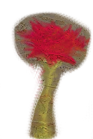 Rose - Completed(?)