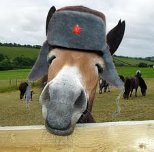 Russian Mule