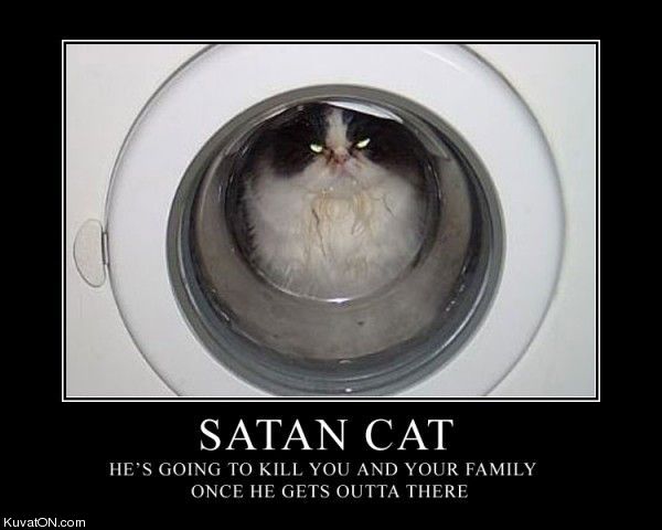 SATAN CAT!