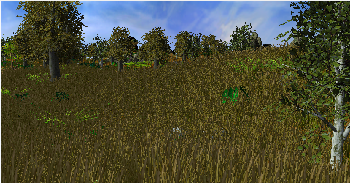 Savannah Terrain