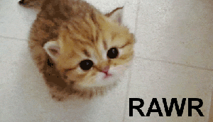 scawy