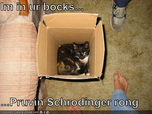 Schrodinger's cat