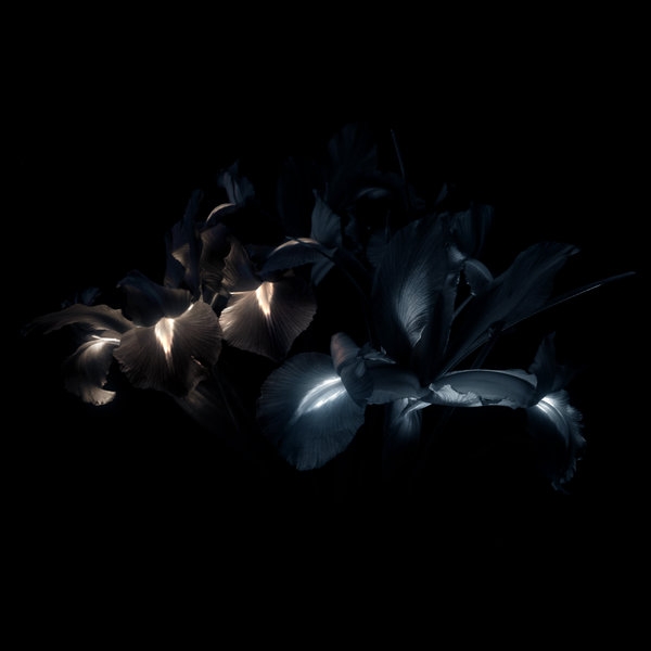 Shades of Light