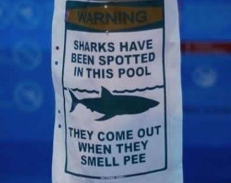 shark warning sign
