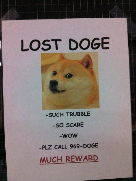 Shibe ca1bd3 4825797