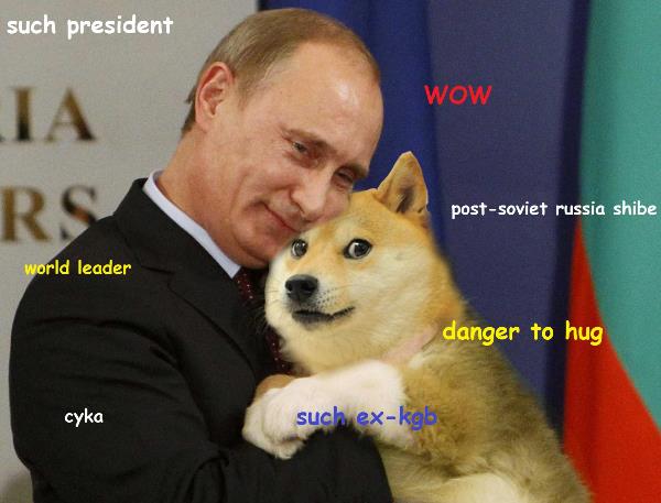 shibe putin