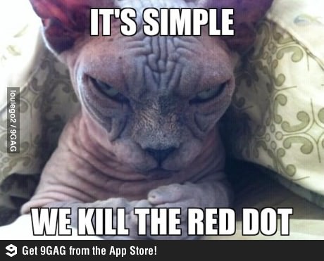 Sinister Cat