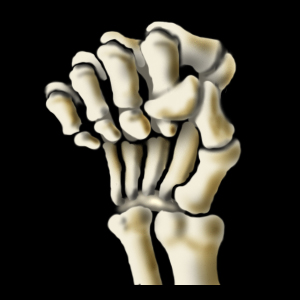 Skeletal Hand
Icon requested by Newominus.