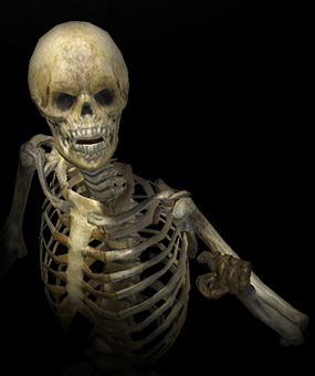 skeleton
