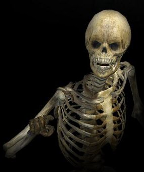 skeleton2