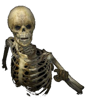 skeleton3