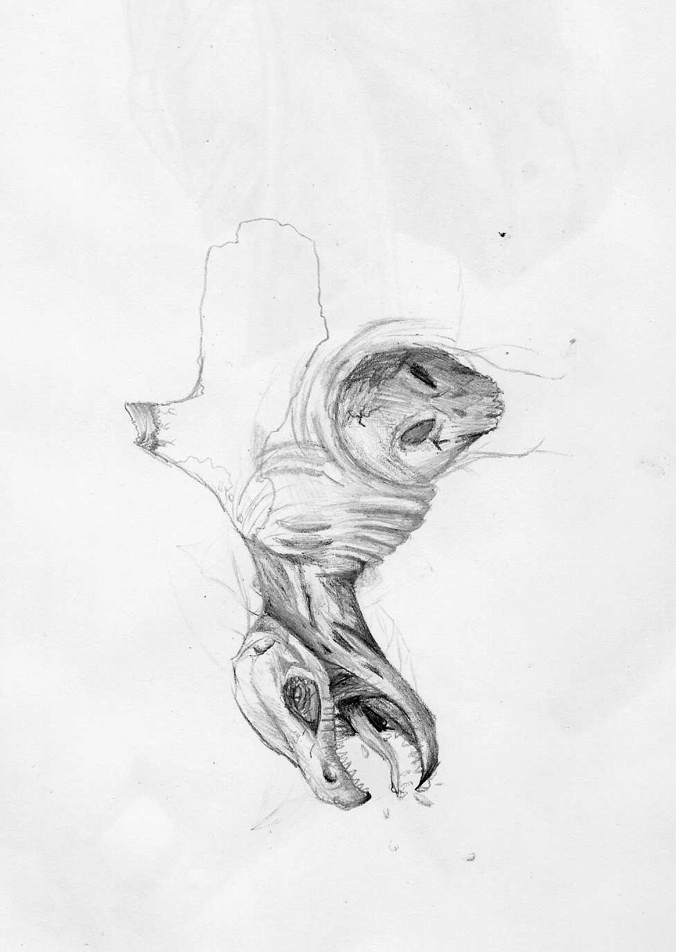 Sketch 2