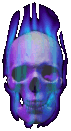 Skull1