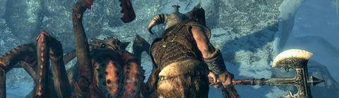 Skyrim Banner