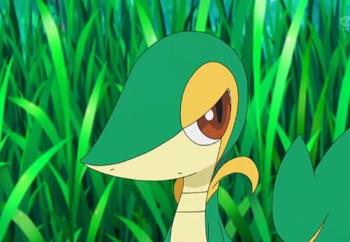 Smugleaf