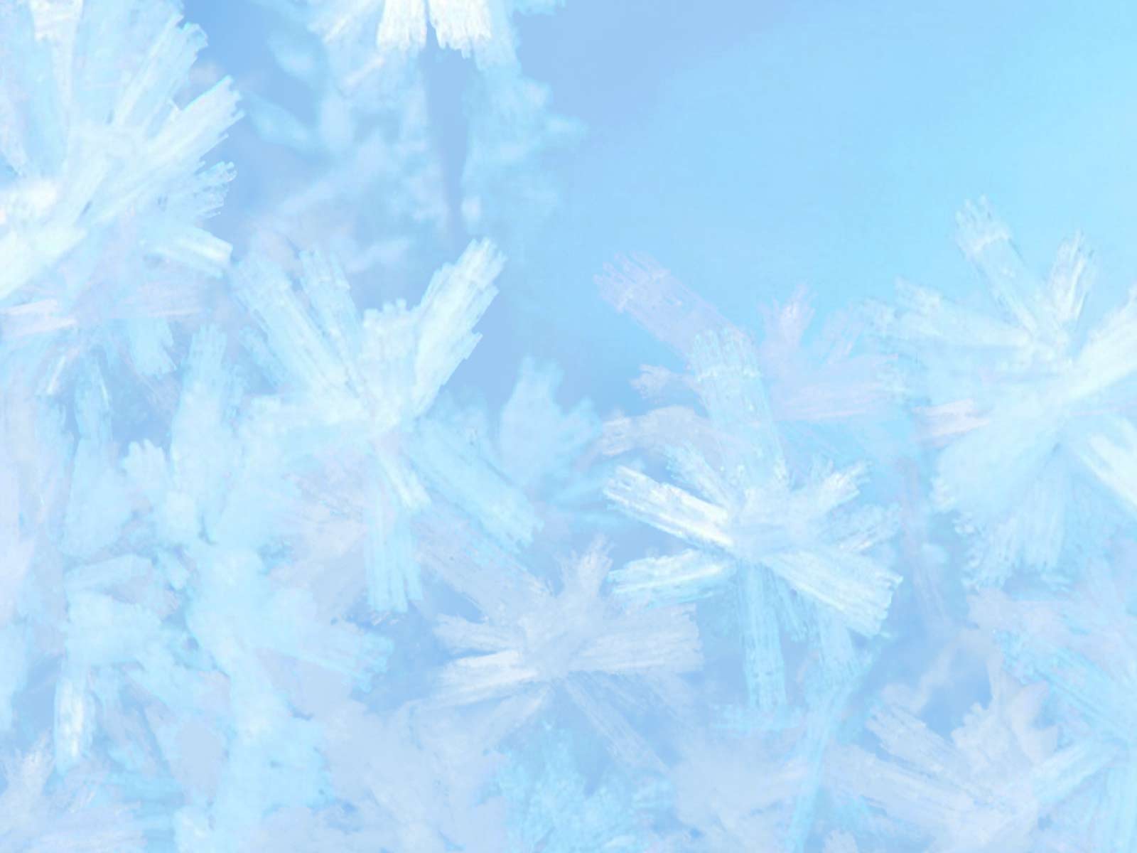 snow crystals 1