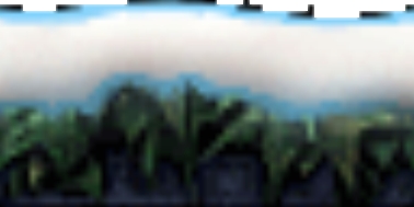 Snowyborder