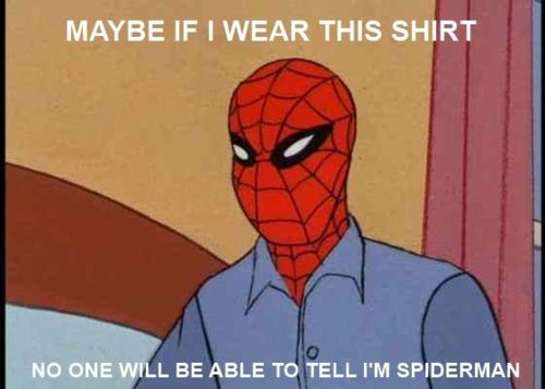 So Idiot Disguise