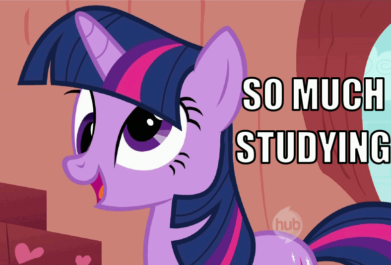 so much studying gif