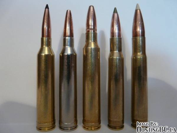 Some random hunting calibers, forgot what they were -.-