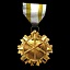 Special Ops Medal
Get a hundred kills as the Special Ops class.