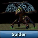 Spider