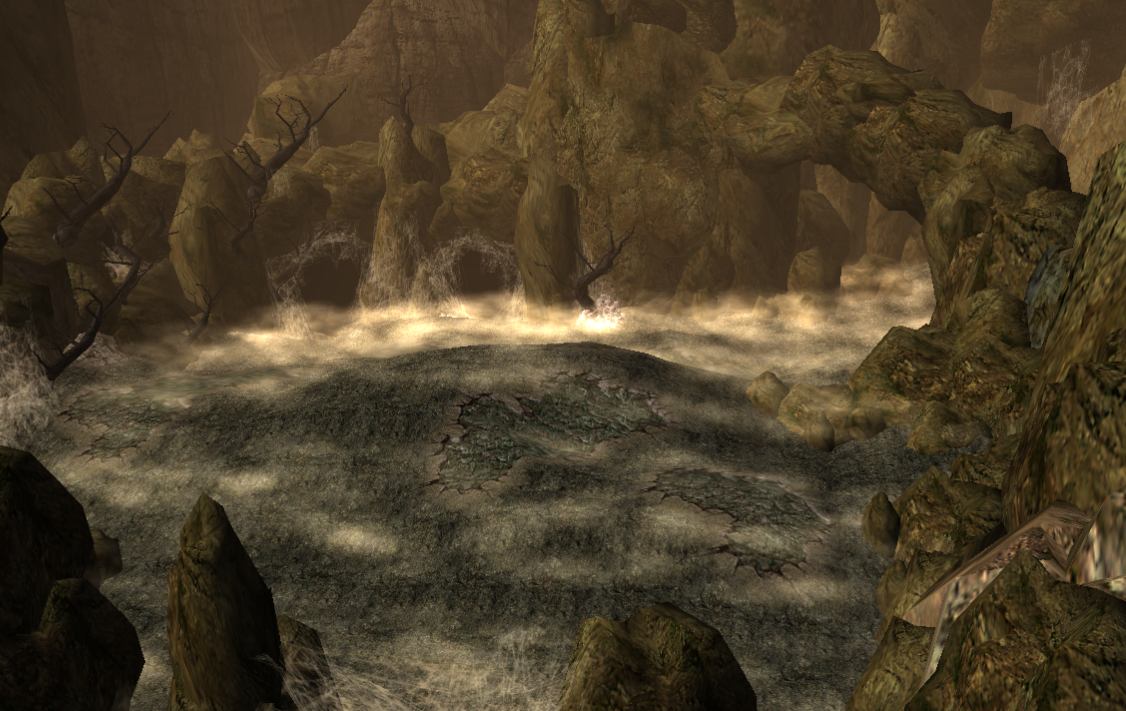 Spiders have begun to grow large and have taken over Rook Canyon