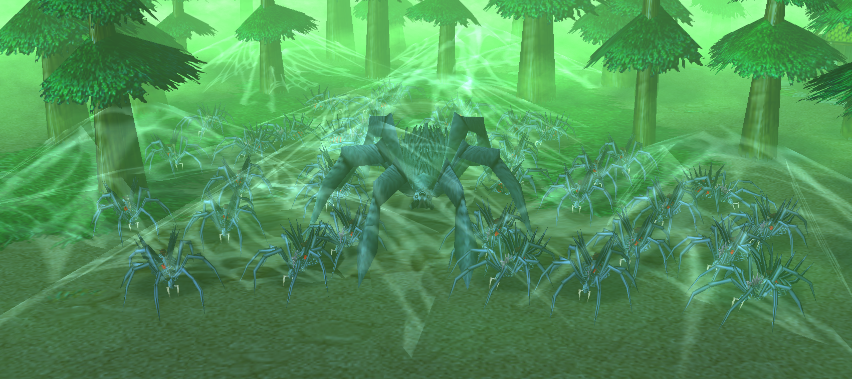 Spiders