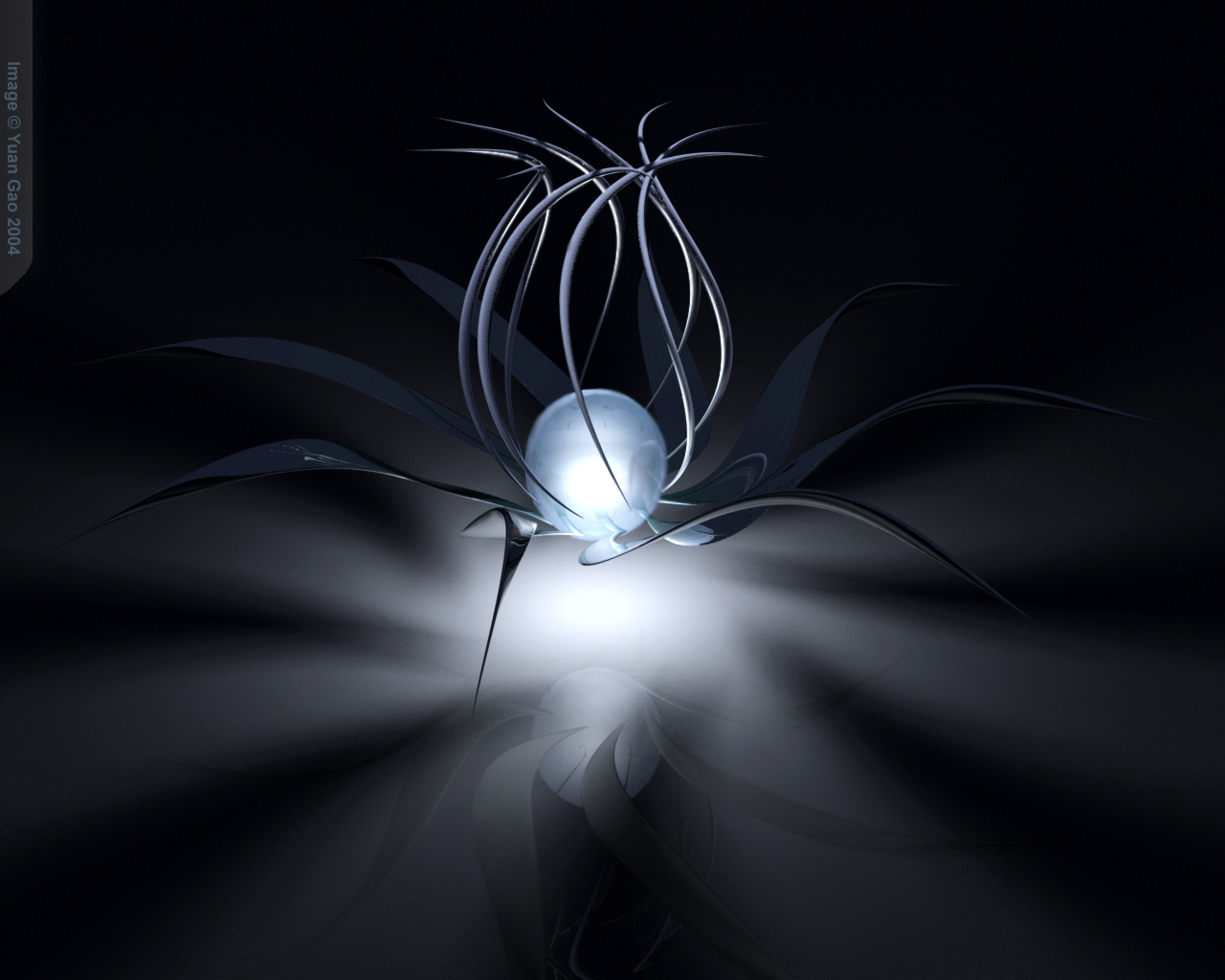 Spiral Flower revision 2 by y g